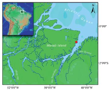 1679-6225-ni-11-04-00739-gf10