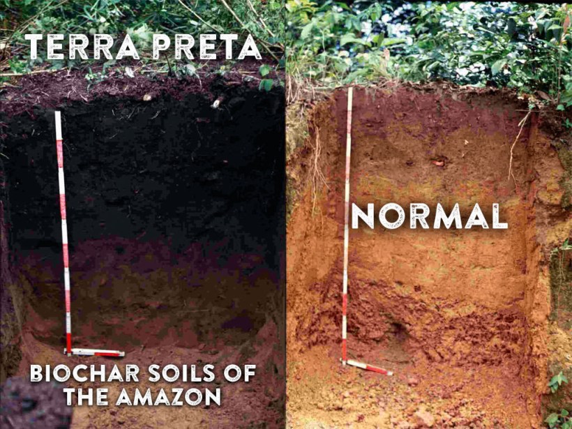 4-Terra-Preta-biochar-soils-of-the-Amazon-1024x768