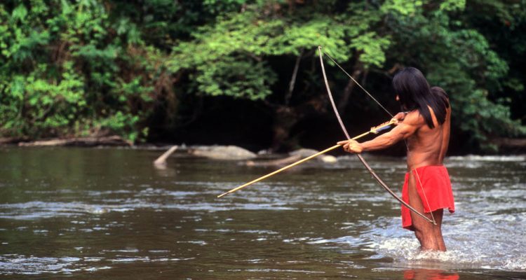 banner.amazon-1-of-1-750x400