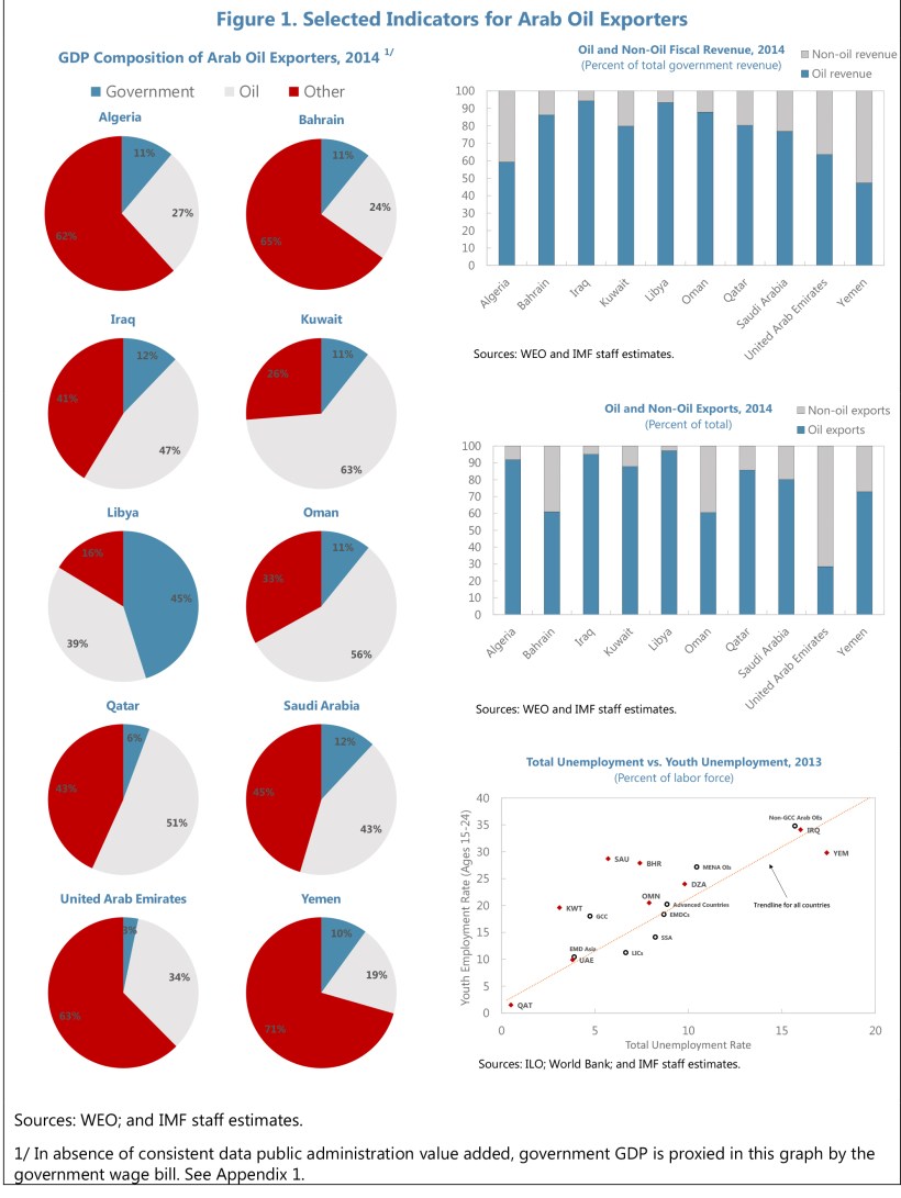 Economic Diversification in Oil-Exporting Arab Countries,Prepare