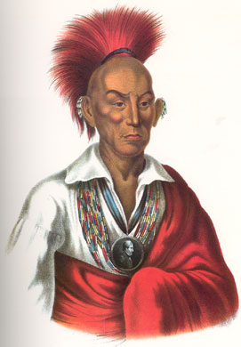 chief_black_hawk