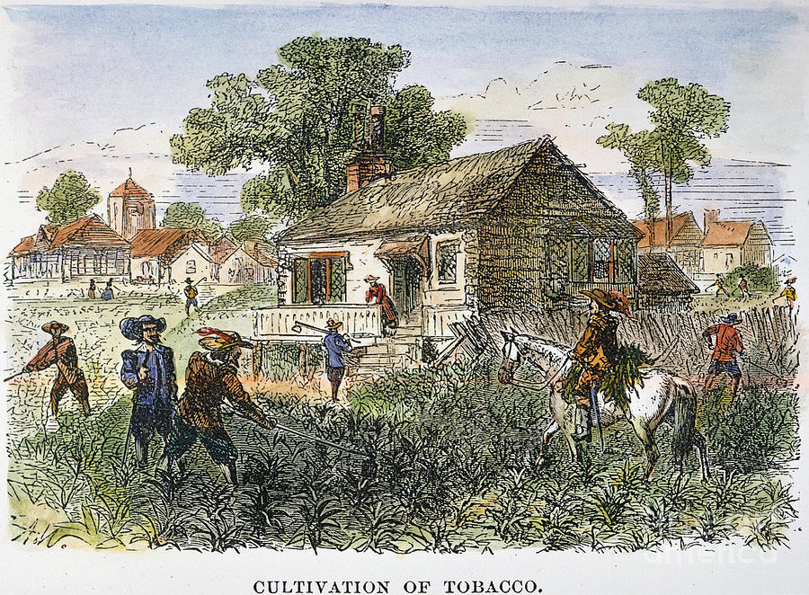 3-tobacco-plantation-granger