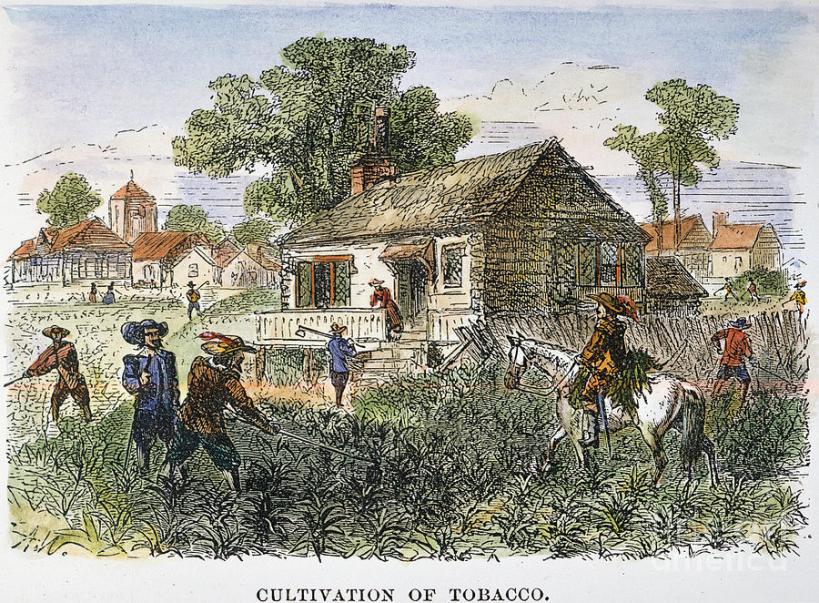3-tobacco-plantation-granger