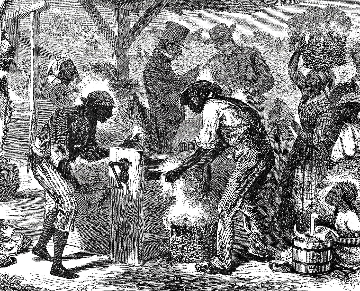 eli-whitney-and-the-cotton-gin-8