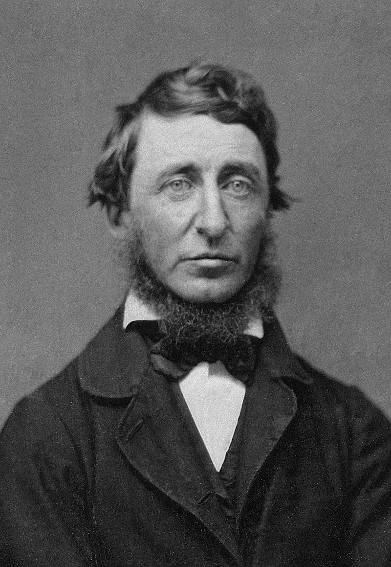 800px-Benjamin_D._Maxham_-_Henry_David_Thoreau_-_Restored_-_greyscale_-_straightened