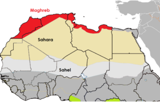 Map-MENA-Maghreb-1303-x-652-1-313x200